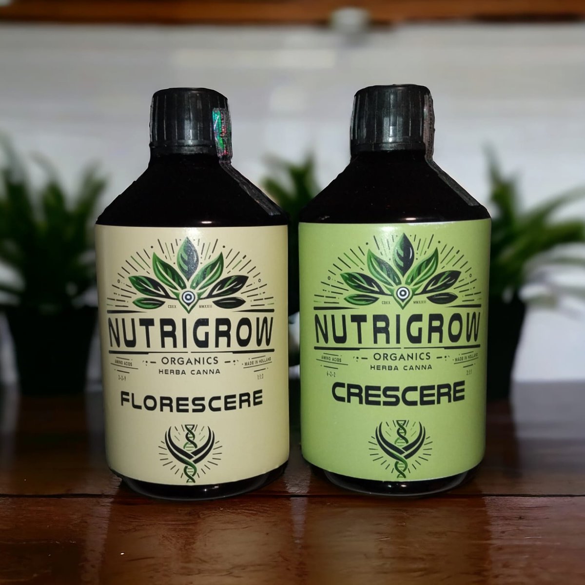 NutriGrowSol's tweet photo. NUTRIGROW SOLUTIONS ORGANICS 💪💪 Organic Vegan Fertilizer Grow and Bloom🌱🌿 https://t.co/8MeyoSaJJa