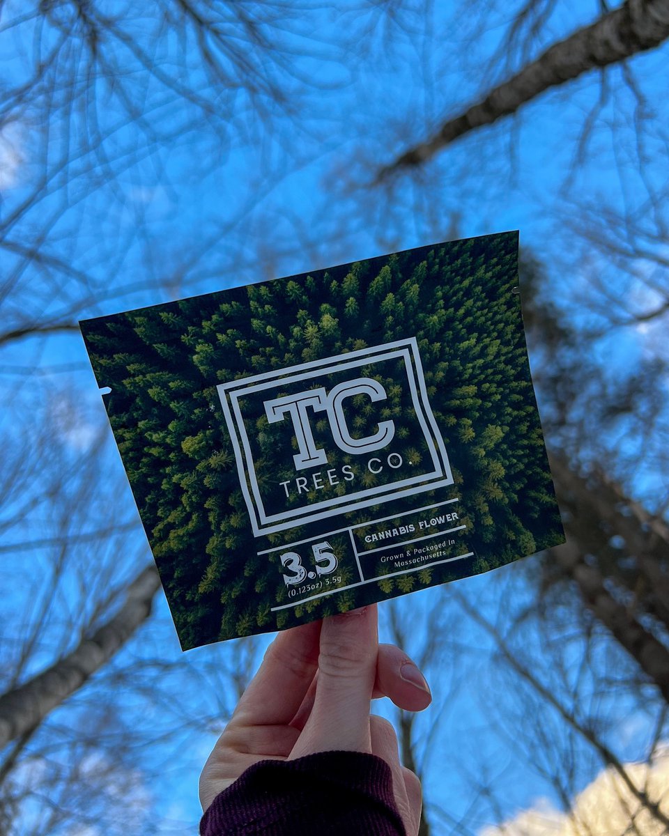 What a gorgeous winter day to get out and explore the Trees! 😉🌲✨

Visit us in Northampton or Worcester to explore an incredible variety of Trees Co. goodies today! 😍🌳

#resinate #worcester #northamptonma #naturelovers #plantbased #highsociety #fourtwenty