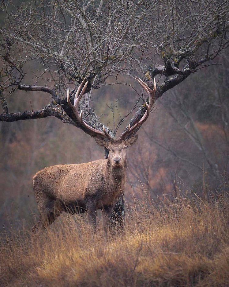 ❎e k ℹ️ tweet media