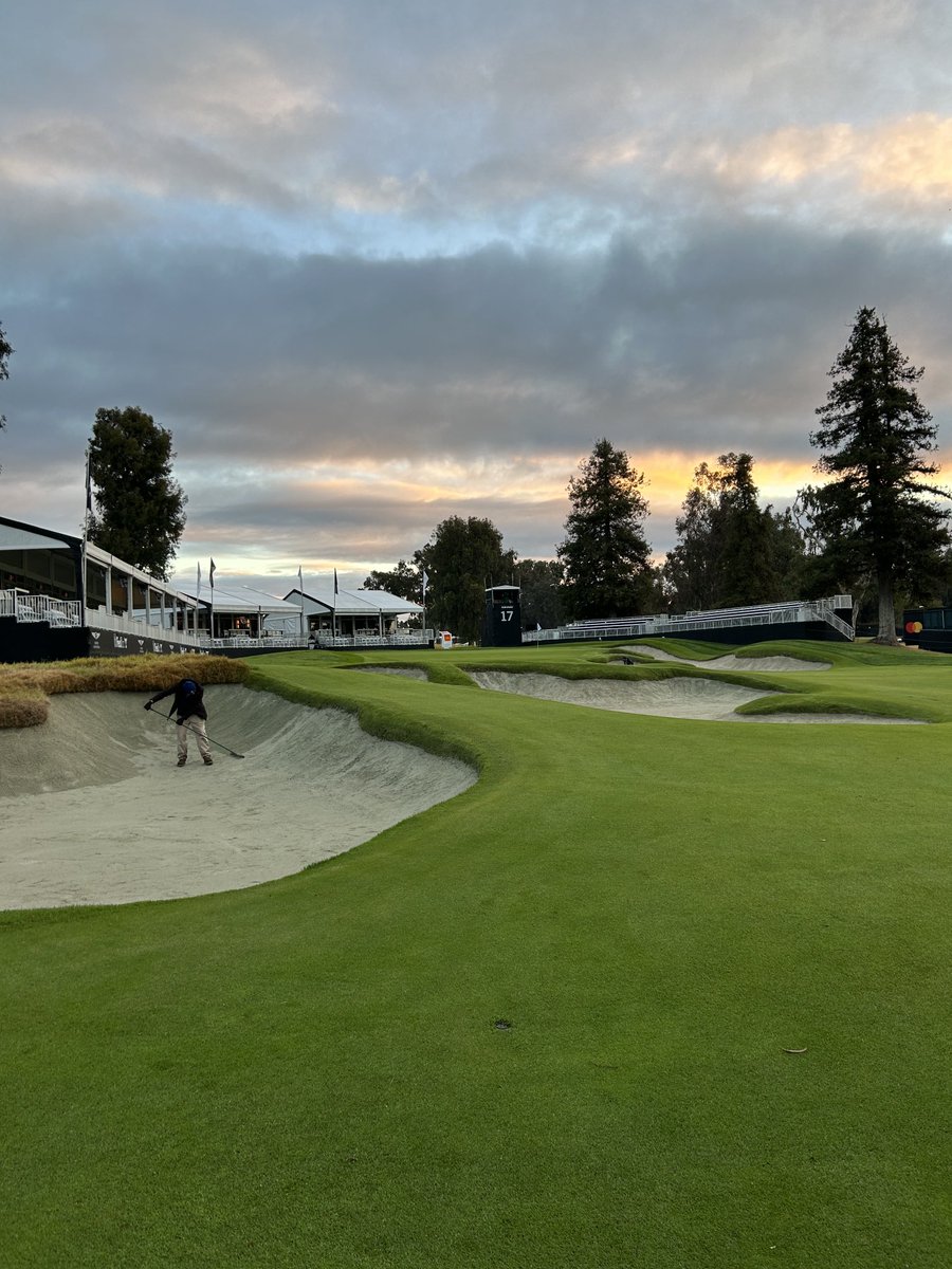 DerekSheffield tweet media