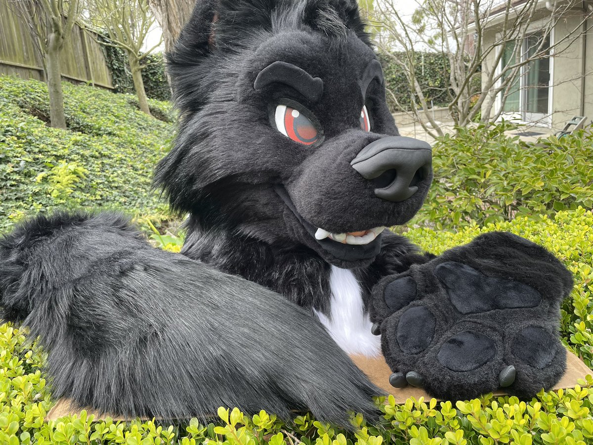 RudeBirdStudios tweet media