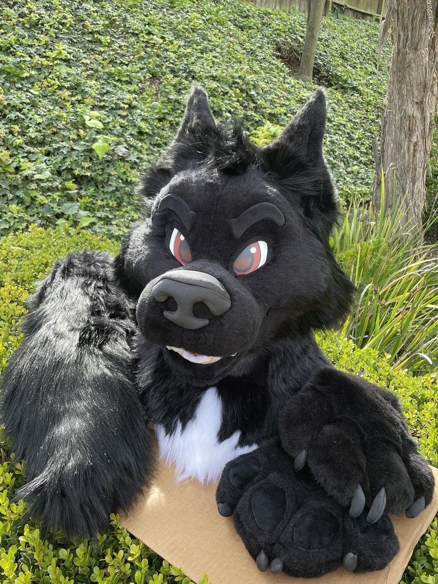 RudeBirdStudios tweet media