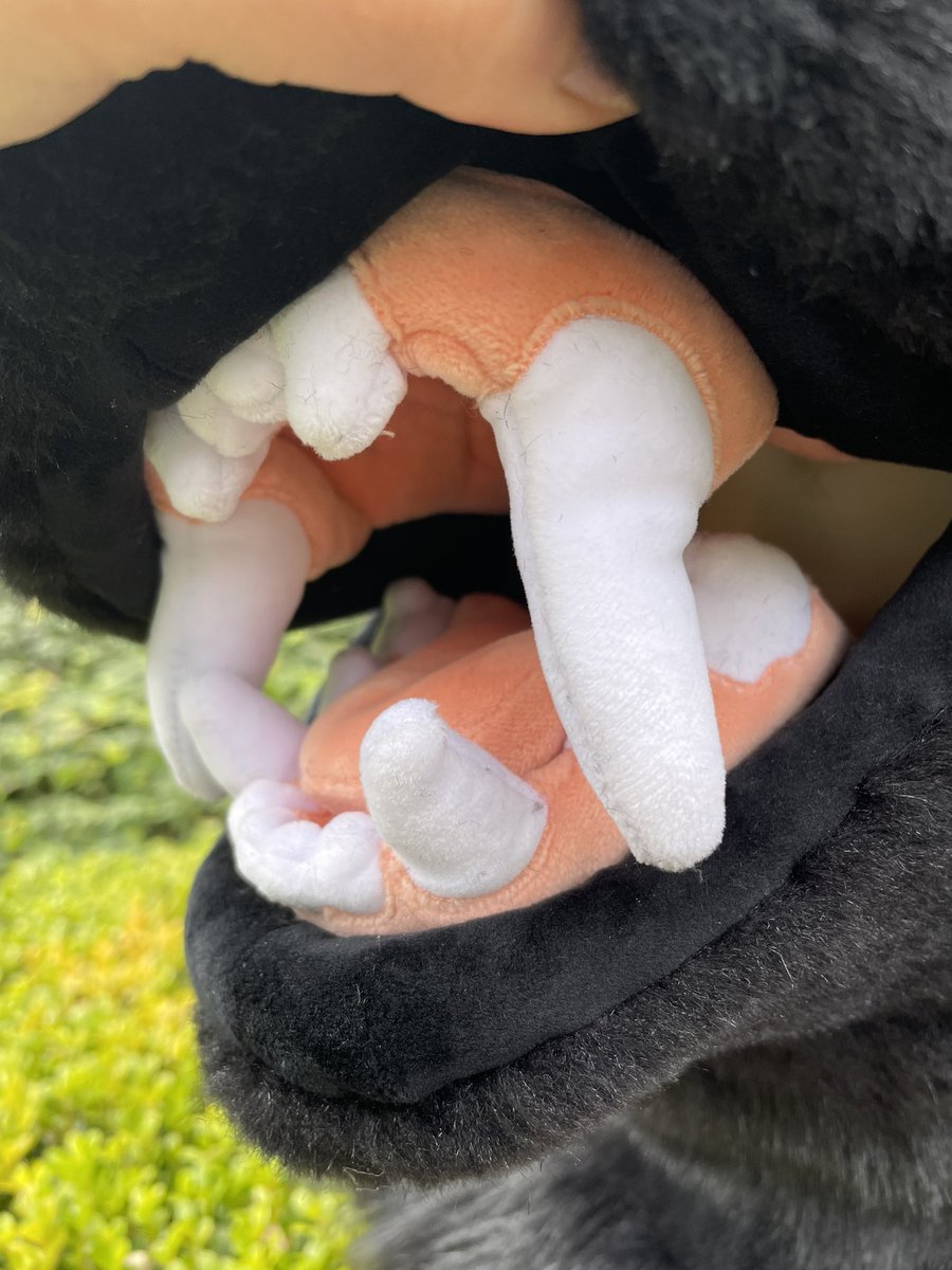 RudeBirdStudios tweet media