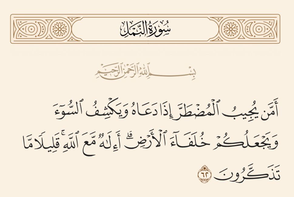 Ali | 銀魂 tweet media