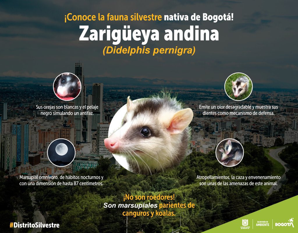 Secretaría de Ambiente tweet media