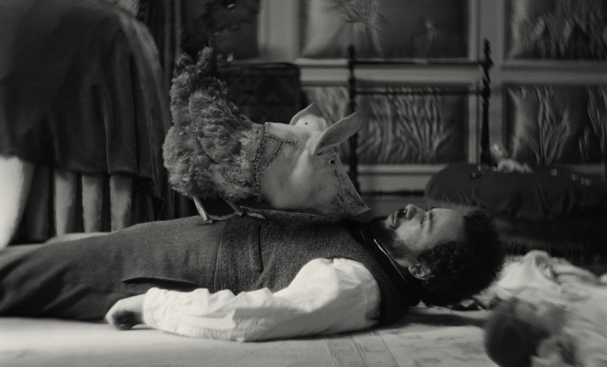 befores & afters magazine tweet media