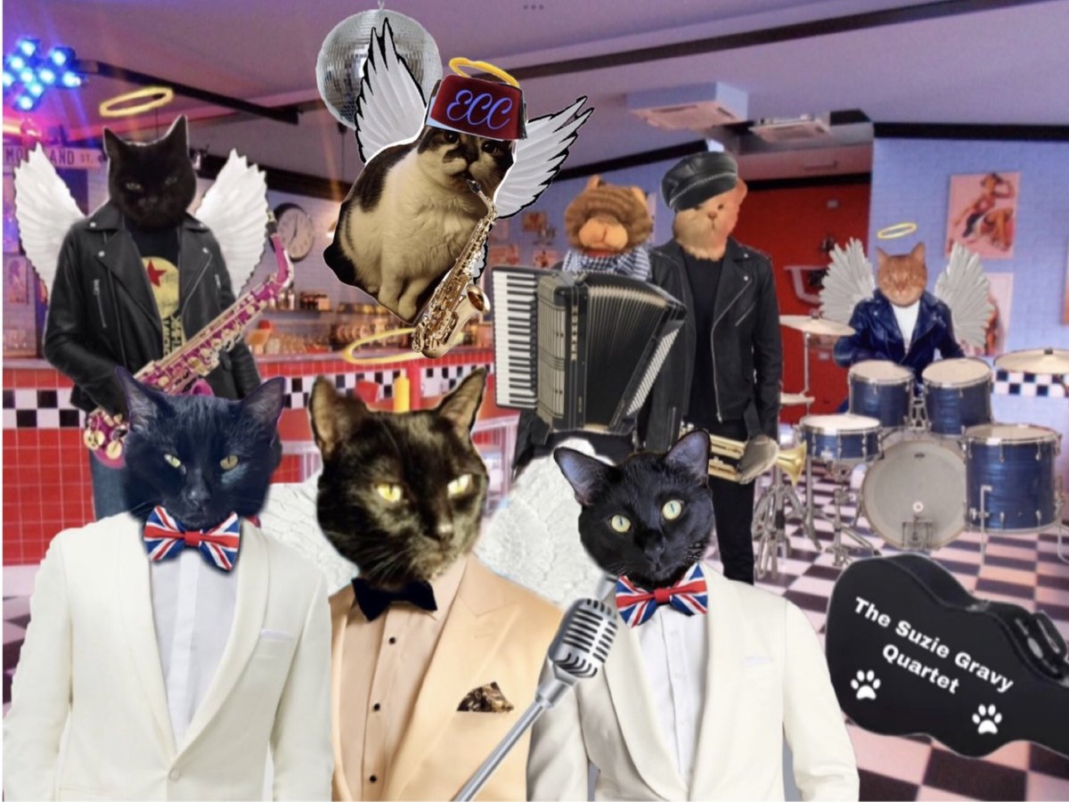 Hello efurryone! And welcome back to the third part of our session! Let’s kick things off with a number called ‘Wonderful Tonight’! youtu.be/vUSzL2leaFM?si… Please put your paws together for our pal Alfie who will be helping us with da harmonies! #ECCPopUpDiner