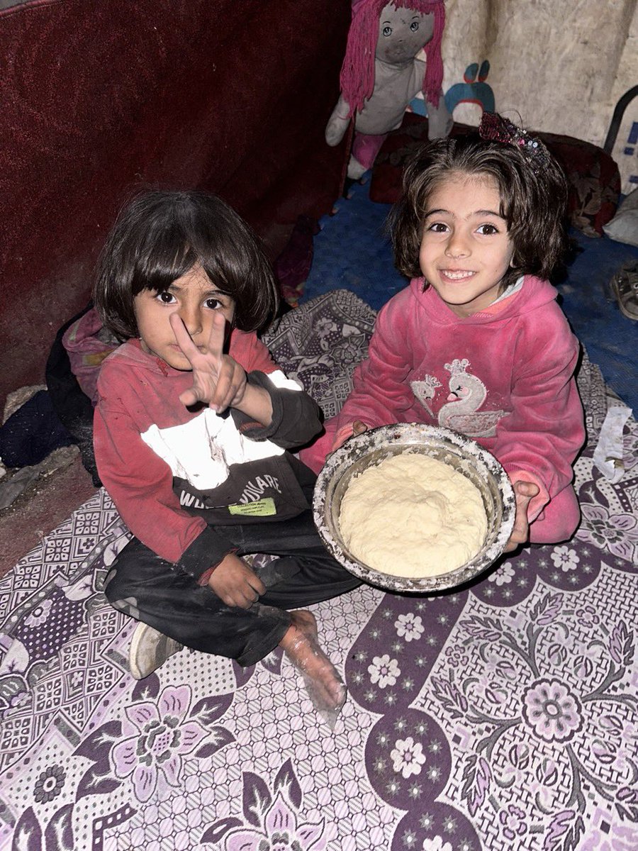 Frankie Boyle Updates tweet media