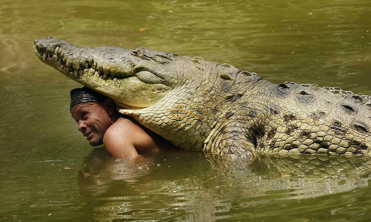 Did You Know?

An American crocodile named Pocho gained international attention for his emotional friendship and relationship of over 20 years with Gilberto Shedden, a local fisherman who saved its life.

#UnlikelyFriendship #CrocodileLove #CostaRicaChronicles #PochoTheCrocodile