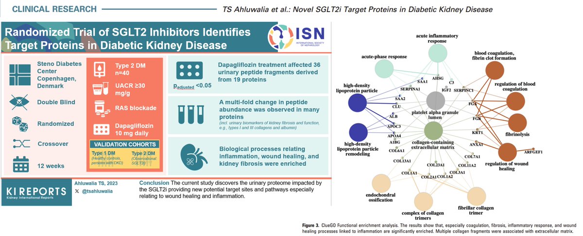 Tarunveer Singh Ahluwalia (@tsahluwalia) on Twitter photo #SGLT2 inhibitor target proteins affecting #DKD in #Type2Diabetes, identified by our #Bioinformatics #Team at #ClinicalResearch <a href="/Stenodiabetes/">Steno Diabetes Center Copenhagen</a> Read Full Text: pubmed.ncbi.nlm.nih.gov/38344728/
<a href="/MieEickhoff/">Mie Eickhoff</a> <a href="/P_Rossing/">Peter Rossing</a> <a href="/FrederikPersson/">Frederik Persson</a> #DiabeticKidneyDisease #Proteomics #PrecisionMedicine #SGLT2 inhibitor target proteins affecting #DKD in #Type2Diabetes, identified by our #Bioinformatics #Team at #ClinicalResearch <a href="/Stenodiabetes/">Steno Diabetes Center Copenhagen</a> Read Full Text: pubmed.ncbi.nlm.nih.gov/38344728/
<a href="/MieEickhoff/">Mie Eickhoff</a> <a href="/P_Rossing/">Peter Rossing</a> <a href="/FrederikPersson/">Frederik Persson</a> #DiabeticKidneyDisease #Proteomics #PrecisionMedicine