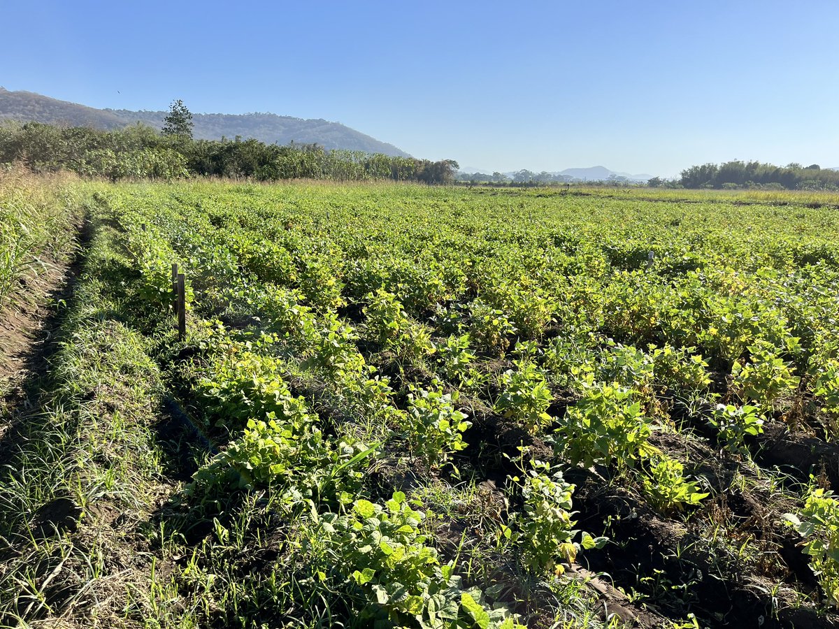 Jennifer Wilker tweet media