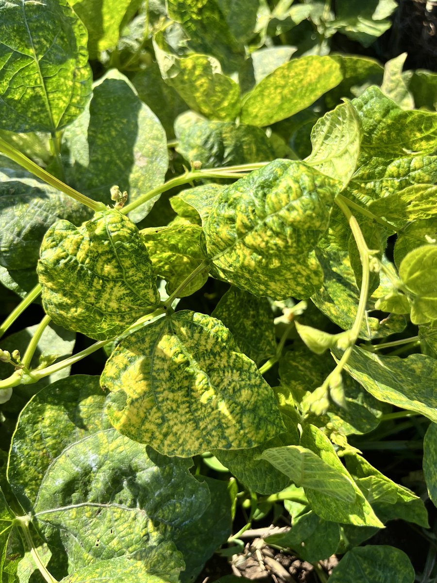 Jennifer Wilker tweet media