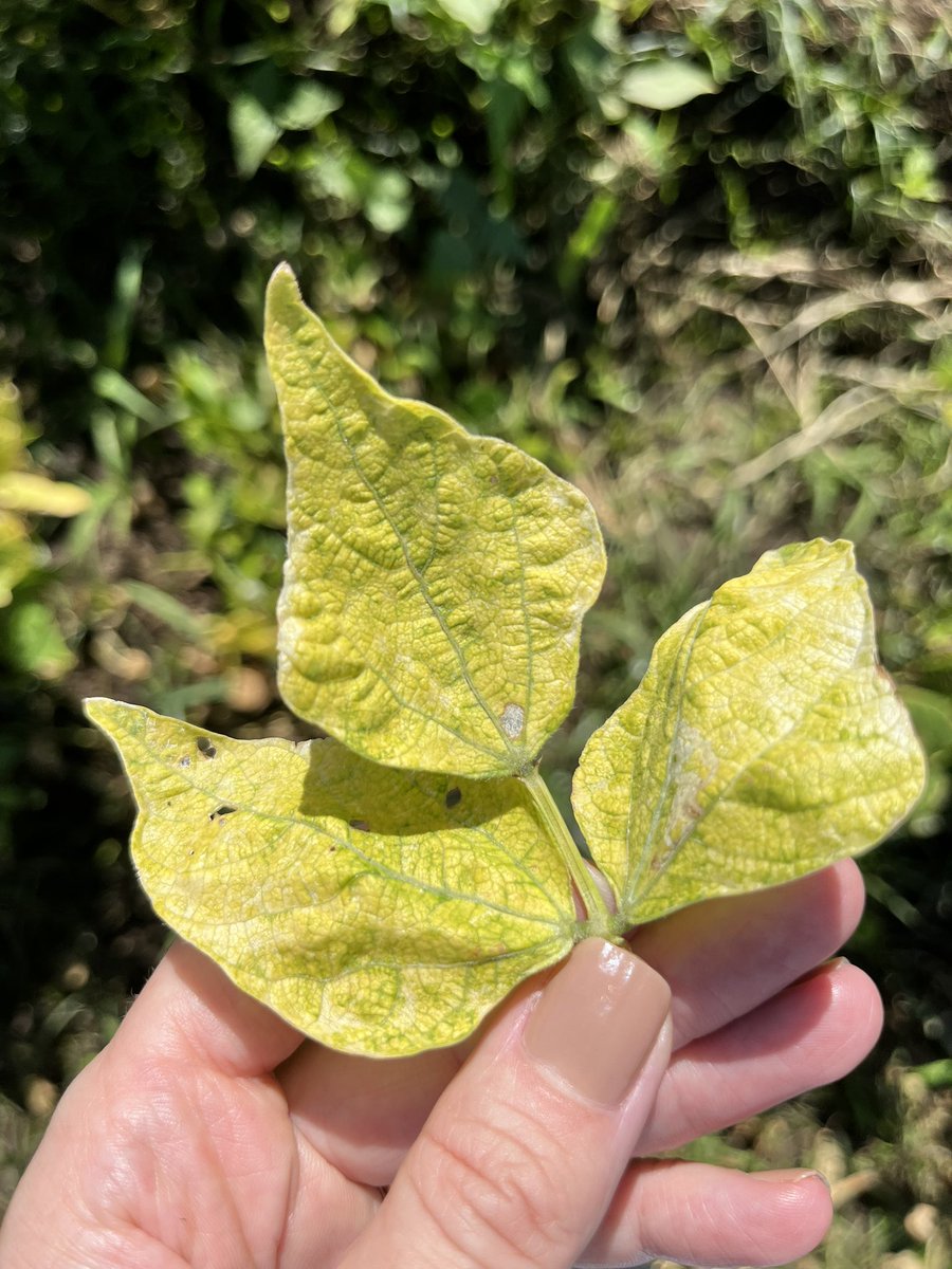 Jennifer Wilker tweet media