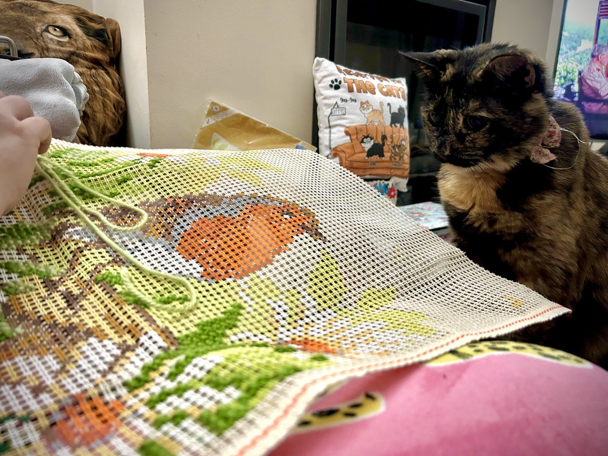 NatCBrooks's tweet photo. New project (another!😆) on the go…..plus a little fluffy helper! 🐾🐈‍⬛🤎 Smartie’s very helpful when it comes to tackling any wool tasks!🧶🐦‍⬛🩷🌼✨
#craftynat83 #sewing #littlehelper❤️ #smartie #gremmie #vervaco #wool #loveher🩷💜 #veryhelpful #robin #newproject @vervaco_kits https://t.co/UpYISNuLHR
