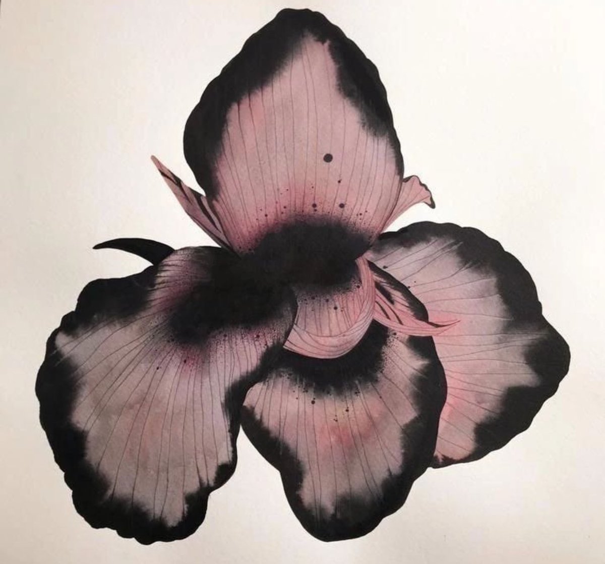 syrenika's tweet image. 🎟️