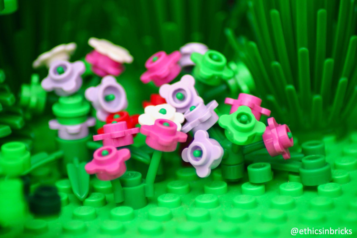 EthicsInBricks's tweet image. "Everything will be all right. And, even if it won't be, we'll have the consolation of having lived honest lives."
- Alexei Navalny