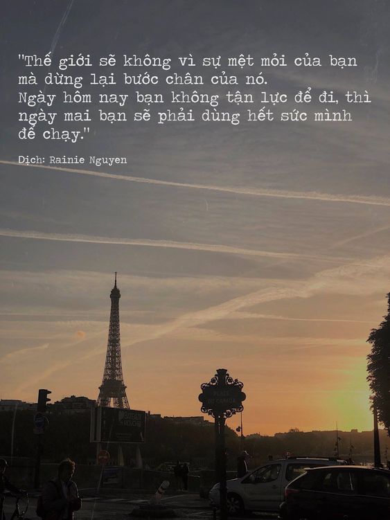 Lê Thành Đạt tweet media