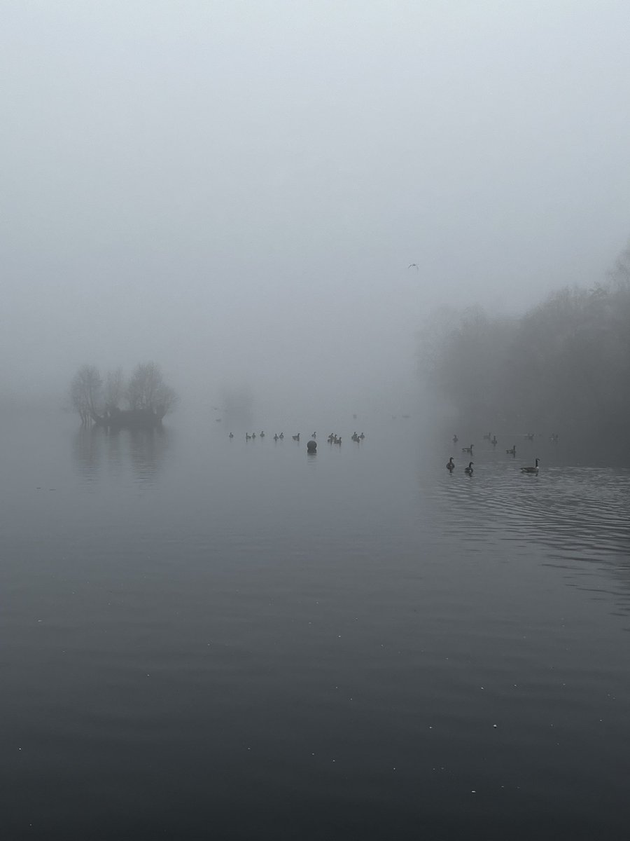sallyshaw5's tweet photo. @Matt_Pinner Foggy morning at Etherow Country Park https://t.co/s2qEskojbp
