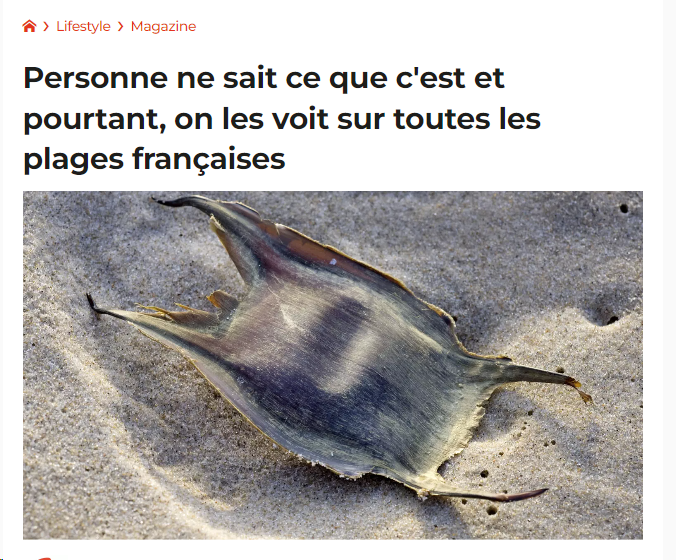 gmod_france's tweet photo. 🤣 Quelqu'un leurs dit que c'est un HeadCrab ?

#darkrp #gmod #garrysmod #gmodfr #halflife #internaute #rlcs https://t.co/UUMeUyBiEe