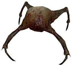 🤣 Quelqu'un leurs dit que c'est un HeadCrab ?

#darkrp #gmod #garrysmod #gmodfr #halflife #internaute #rlcs