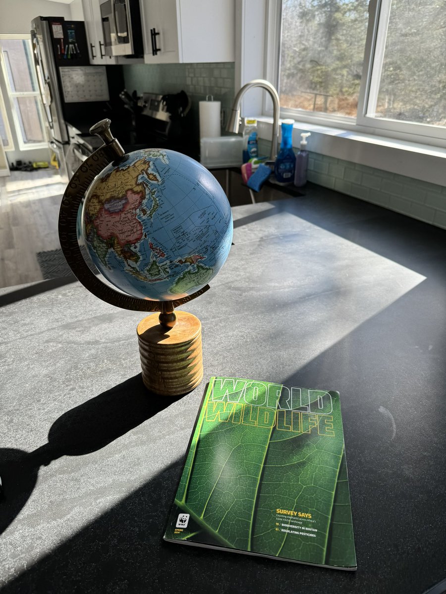 divergenttravel's tweet photo. Sunday afternoon read before taking off on an adventure 💙

@WWF Spring catalog 🐾

Love it for all the conservation stories, travel tips and information 👀 check it out

#wwf #bloggersdoinggood #Conservation https://t.co/IjJhgvrA53