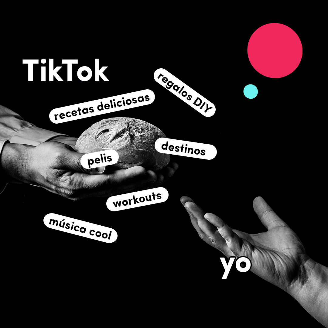 y tú, ¿qué buscas en Tiktok?