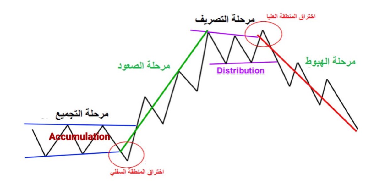 ₿ شيماء || عملات رقمية official tweet media