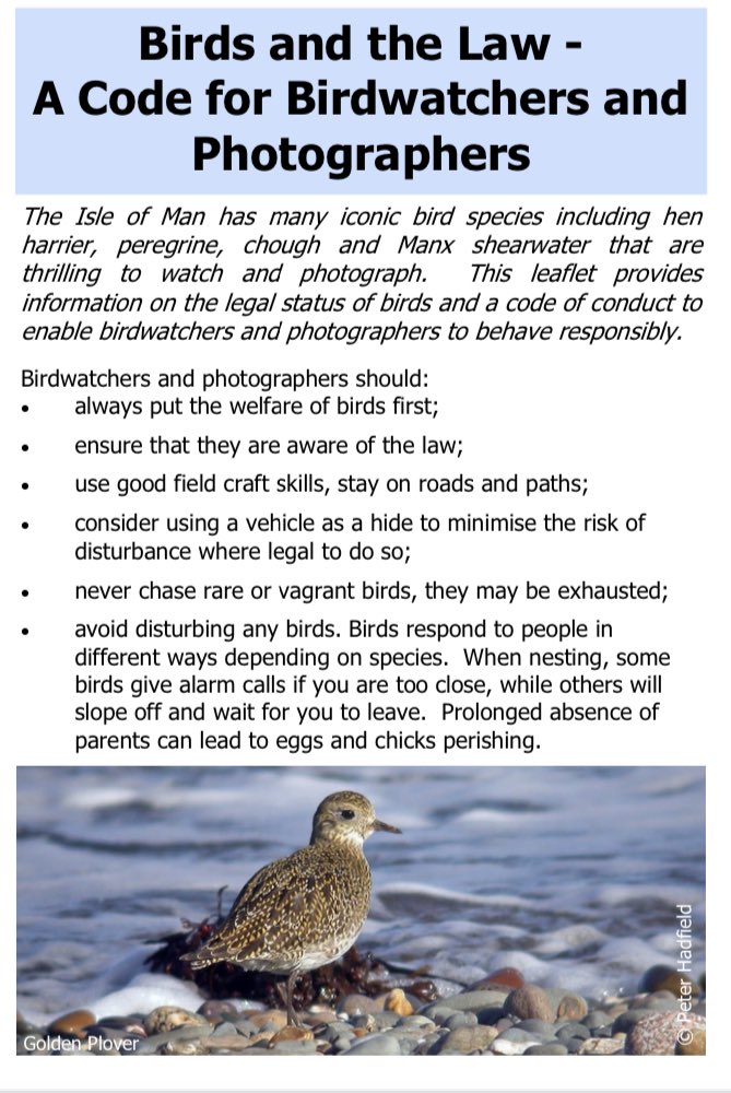 Disappointing reports of photographers disturbing a protected species on the Island today. In winter such birds may be near starvation and need space to feed & rest without disturbance. We must put their welfare first. Were those photos really worth it? gov.im/media/1052558/…