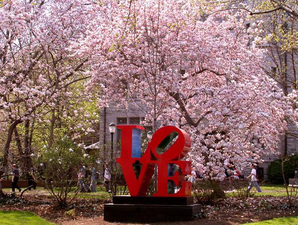 I’m super excited to say that I will be starting my lab as Asst. Prof. at the University of Pennsylvania @PennSAS in the beautiful, vibrant, and sunny city of Philadelphia. My lab will lead an integrative approach to animal cognition in the lab and in the field!! #recruiting