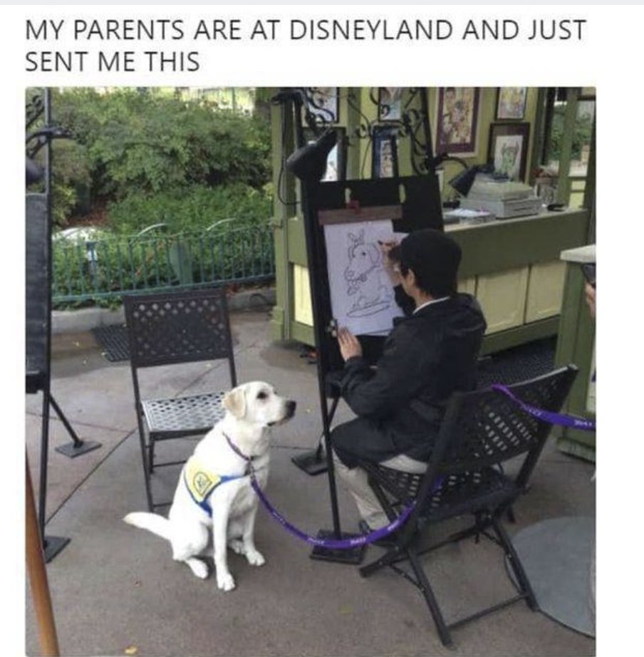 RespectfulMemes tweet picture