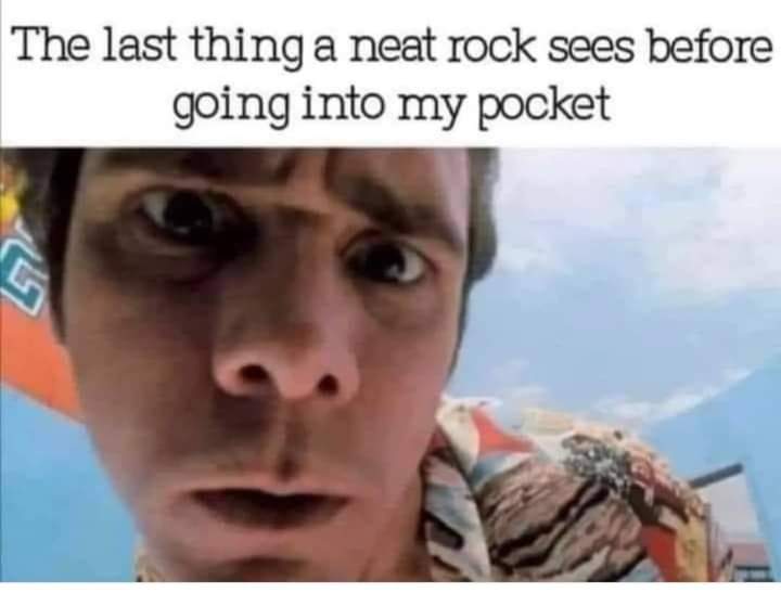 RespectfulMemes's tweet image. 