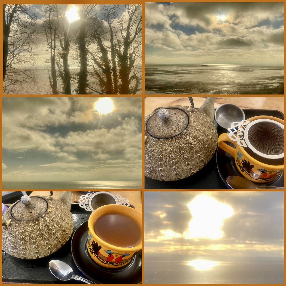 JudeMckerrecher's tweet photo. #Tinymomentsofjoy🫶in a week of inspiringly wise courses, lovely authentic people, short journeys to catch up with precious family & friends, the beauty of wild flowers in all weathers, nature walks, cups of warmth & kindness, compassion🪷being grateful🙏#Joyful #Cherishedtime🫶 https://t.co/SMB8SwpAE3