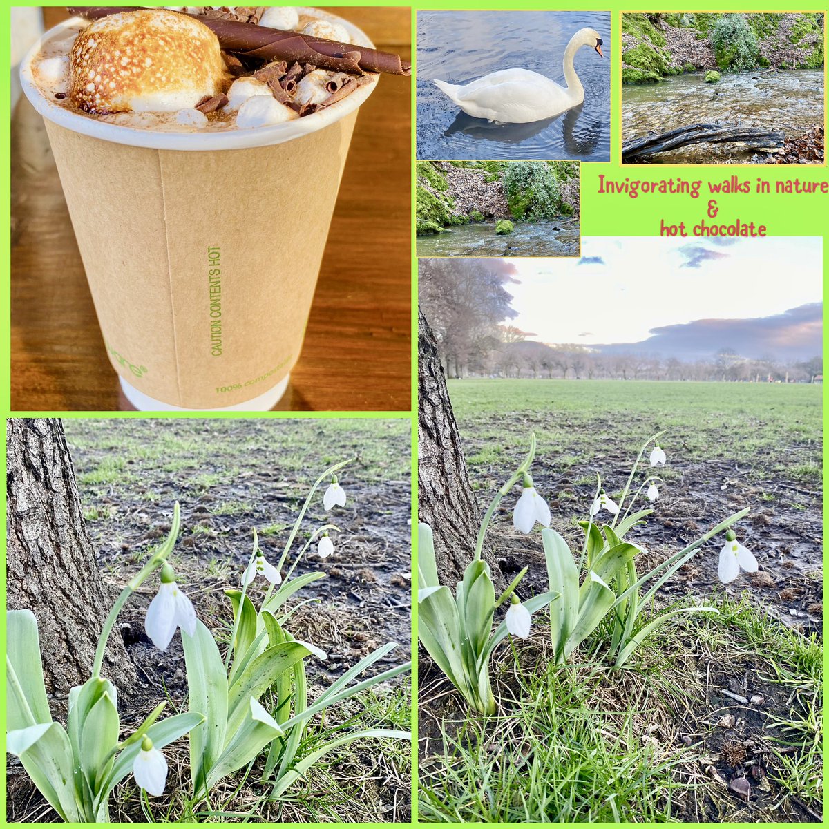 JudeMckerrecher's tweet photo. #Tinymomentsofjoy🫶in a week of inspiringly wise courses, lovely authentic people, short journeys to catch up with precious family & friends, the beauty of wild flowers in all weathers, nature walks, cups of warmth & kindness, compassion🪷being grateful🙏#Joyful #Cherishedtime🫶 https://t.co/SMB8SwpAE3