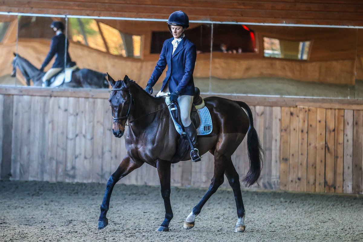 Emily Scott tweet media