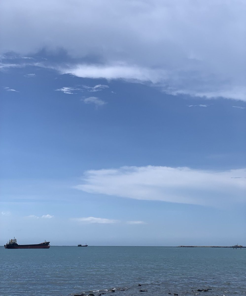 XxxQBt's tweet photo. 凌晨三点半，海棠花未眠 https://t.co/fPmWyAdvEa