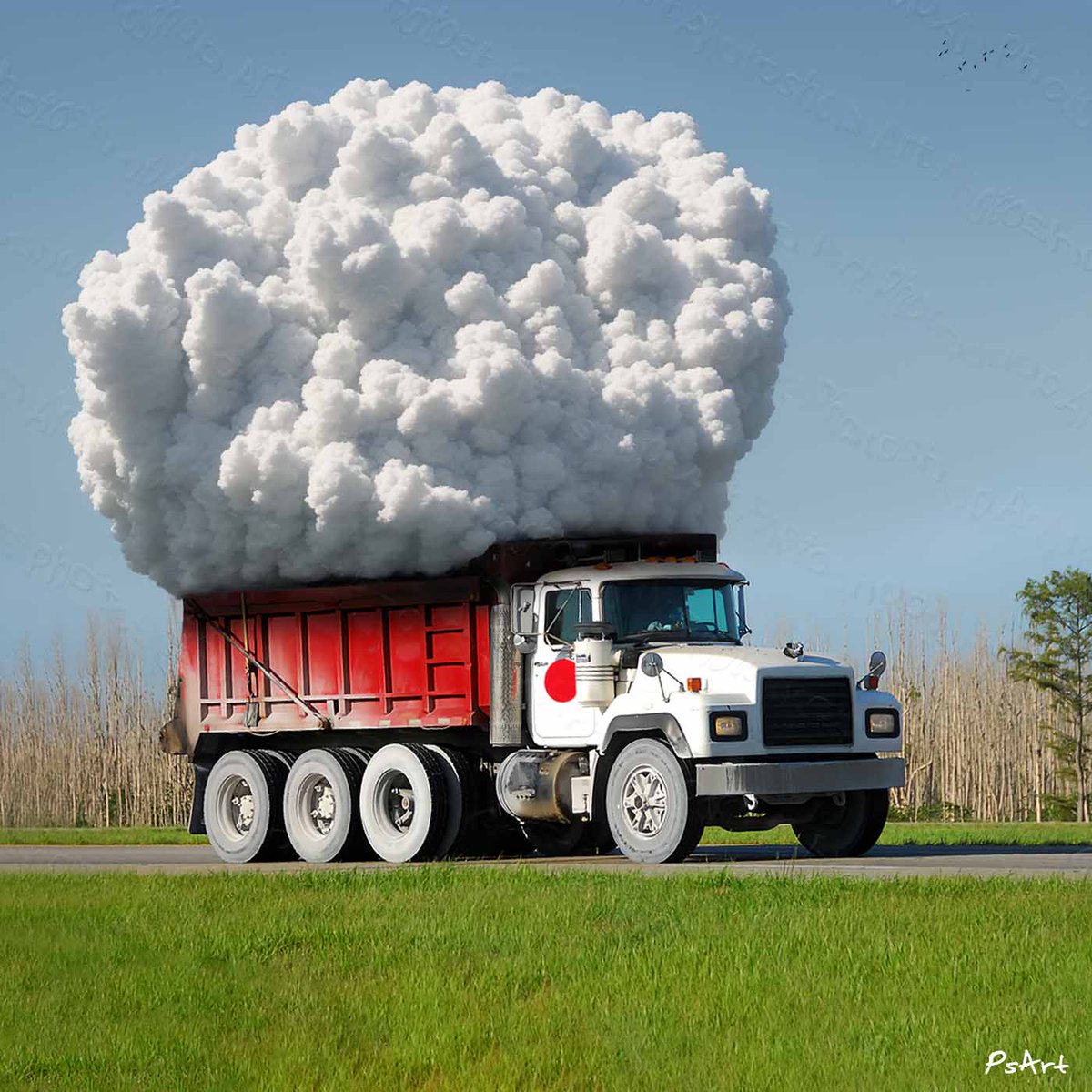_PhotoshopArt_'s tweet photo. Cloud delivery. โ๏ธ๐ Made with Photoshop and StableDiffusion.
#PhotoshopArt #manipulation #MadeWithPhotoshop #digitalart #funny #art #landscape #abstract #nature #delivery #cloud #Clouddelivery #fantasy #beautiful #DreamWorld #truck #clouds #puffy #PuffyCloud https://t.co/N5RoDunU9R
