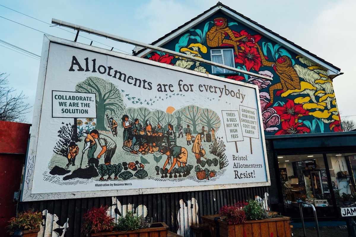 BrisAllotResist's tweet photo. Allotment rents are due to rise here in Bristol. The increases vary from 7% to 492% depending on the plot. 

Follow, share, help us fight the changes. 

#gardeningX #GardeningTwitter #growyourown #GardenersWorld 
#nodig #allotment #vegetablegarden #organicgardening https://t.co/fnlwCzYrcE