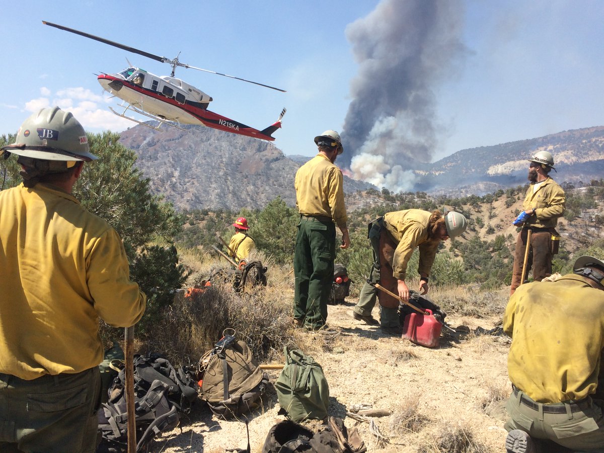 BLMAZFire's tweet photo. Join our team! If you think you have what it takes to be a wildland firefighter, there is still time to apply to become a Gila District seasonal call-when-needed wildland firefighter for the 2024 fire season.

Apply by February 26. Learn more and apply: https://t.co/3aB7KfGqlZ https://t.co/QO5YWryTSV