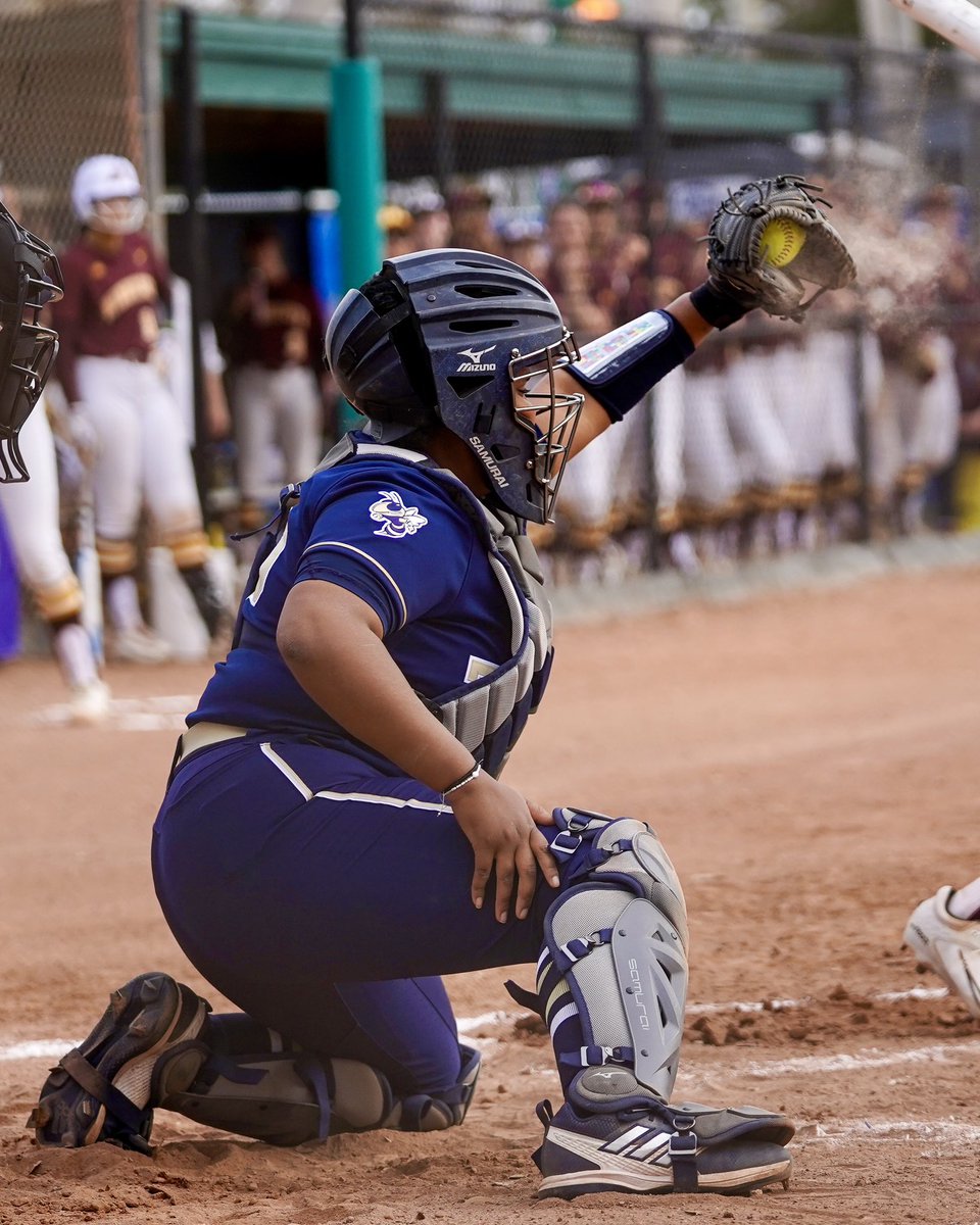 GaTechSoftball tweet picture