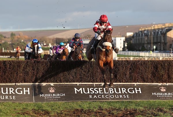 LambdenRacing's tweet image. ⭐️WINNERS⭐️Another double with WHOSMYDADDY and COOLKILL with @mania450 for owners @jimmyfyffe and Ken McGarritty @MusselburghRace And a nice fast finishing 2nd with MASSINI MAN for P&amp;amp;F Racing. Well done again to all our hardworking staff. Bacon rolls incoming !