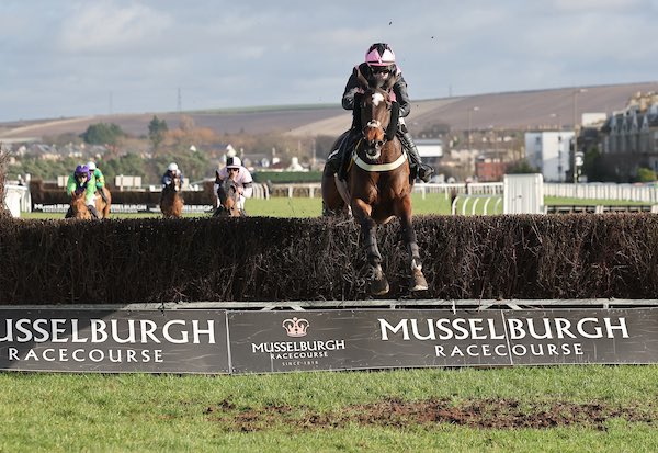 LambdenRacing's tweet image. ⭐️WINNERS⭐️Another double with WHOSMYDADDY and COOLKILL with @mania450 for owners @jimmyfyffe and Ken McGarritty @MusselburghRace And a nice fast finishing 2nd with MASSINI MAN for P&amp;amp;F Racing. Well done again to all our hardworking staff. Bacon rolls incoming !