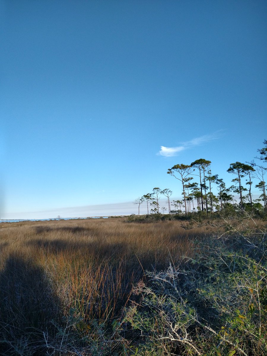 Lifesab5138's tweet image. #PhotographyIsArt #intracoastal