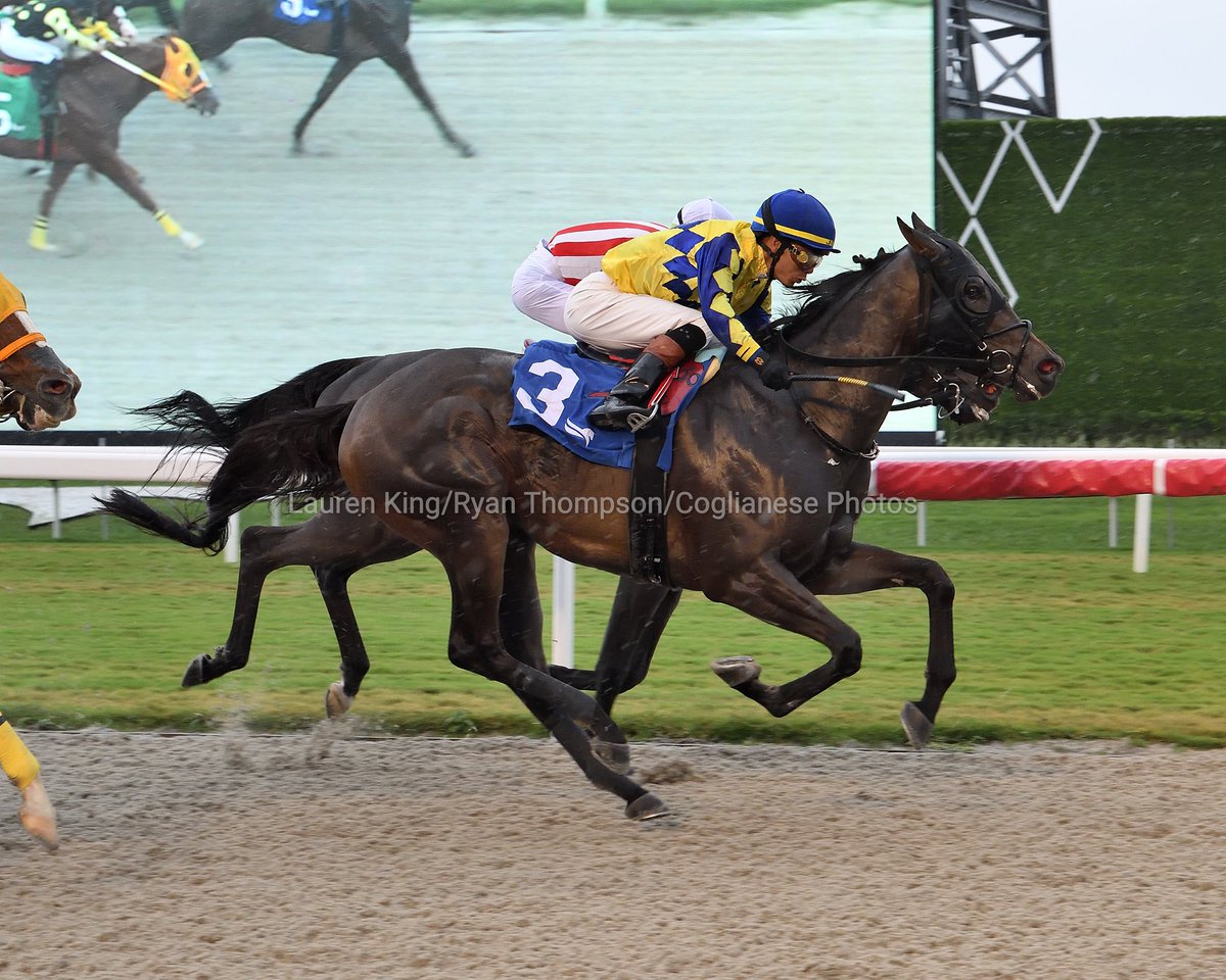 VideoHipico (@videohipico) on Twitter photo Beganingreenpoint and <a href="/jose93_ortiz/">Jose Ortiz</a> hold on to deliver in race 6 for trainer <a href="/AckerStables/">Scott D. Acker Stables</a>. #GulfstreamPark #ChampionshipMeet
Beganingreenpoint y José Ortiz aguantan y ganan en la 6.ª carrera para Scott Acker. Beganingreenpoint and <a href="/jose93_ortiz/">Jose Ortiz</a> hold on to deliver in race 6 for trainer <a href="/AckerStables/">Scott D. Acker Stables</a>. #GulfstreamPark #ChampionshipMeet
Beganingreenpoint y José Ortiz aguantan y ganan en la 6.ª carrera para Scott Acker.