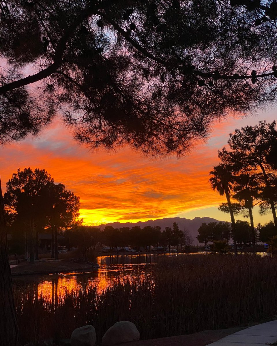 Qvir Media tweet media