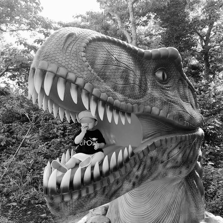 ㅤ

Dia de pai e filho, Valentim adorou ver os animais que ele tanto gosta. Durante o caminho inteiro ele dizia “Dino” e eu como um pai orgulhoso, fazia as vontades dele. ㅤ

ㅤ