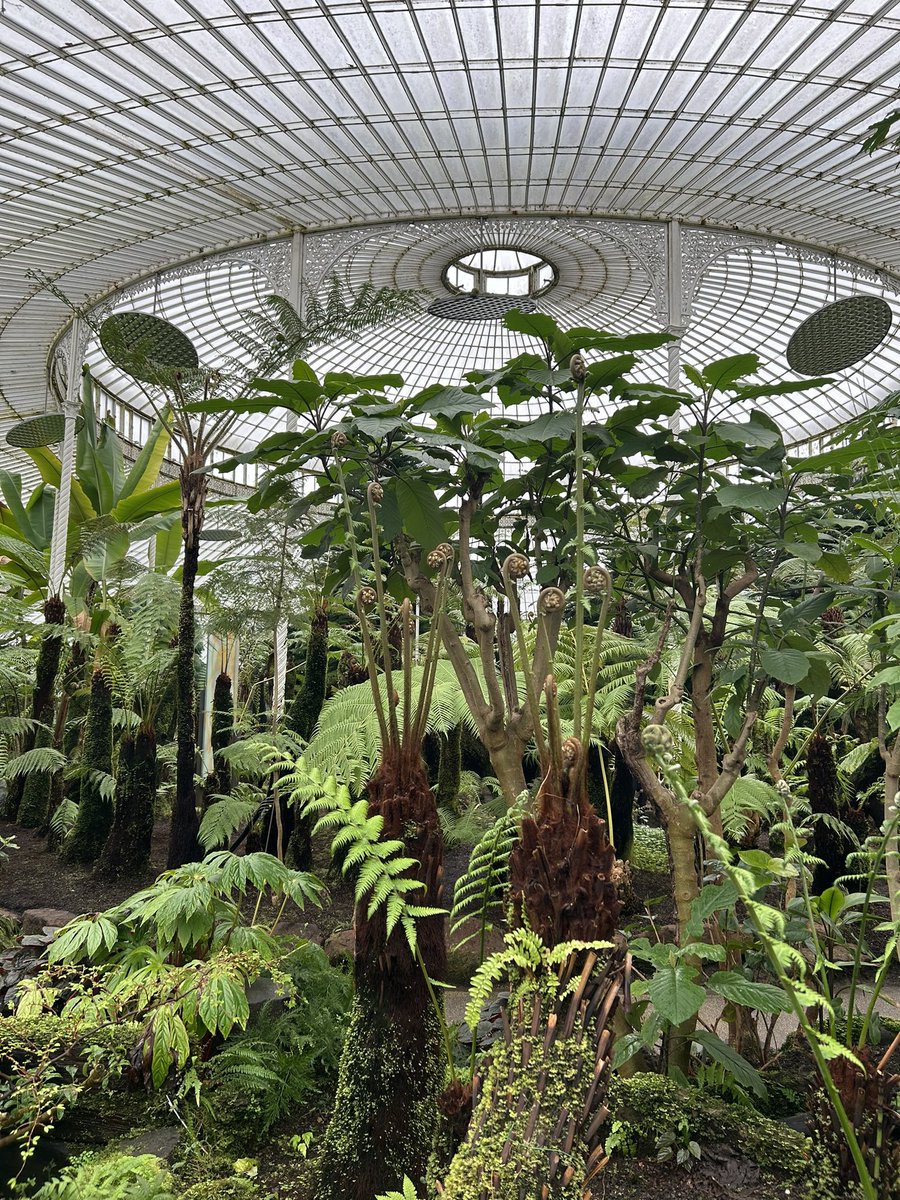 Was great to visit @GlasgowBotanic Gardens today. Cracking Free day out in Glasgow’s west end.