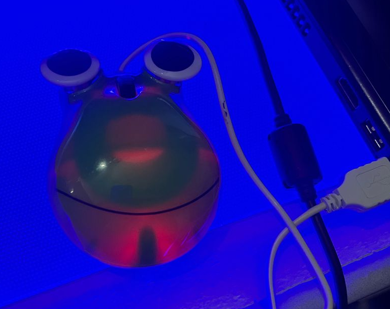 SeFlorent's tweet photo. @SulakeLFG J'ai un pote il a une souris grenouille, sois pas jaloux. Tu as des disciples partout ! https://t.co/rHkbCFXOLr