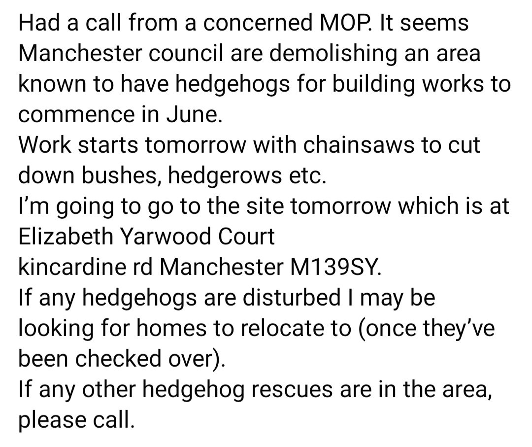 StaceyEleanorG's tweet image. Really disappointed in @ManCityCouncil - They are building on land right now where they know #Hedgehogs are #Hibernating :( so #Annoyed. #Hedgehog #Hero Sue has to search 4them b4 the diggers come. @ChrisGPackham @MeganMcCubbin @IoloWilliams2 @BBCSpringwatch #Save #Nature