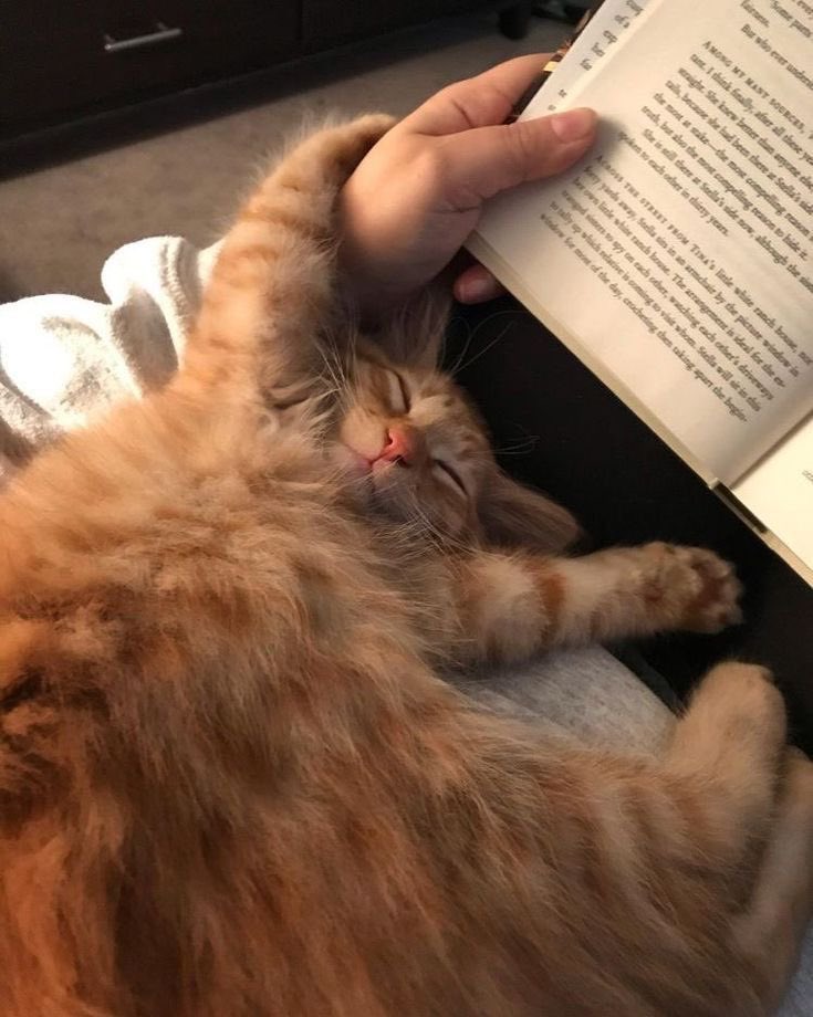 xogossipman's tweet photo. “your name core”
“your name fashion”
“your name nails”
“your name pets” 

сук, ногти https://t.co/tDH4vyLya7
