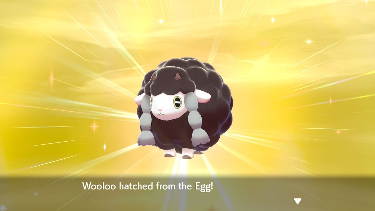 BuckeyeKnight's tweet photo. Friend ball Wooloo finally shines! #ShinyPokemon #PokemonSwordShield #NintendoSwitch https://t.co/M2mnjvwxRD